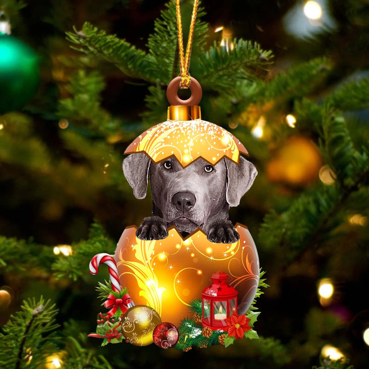 SILVER Labrador In Golden Egg Christmas Ornament