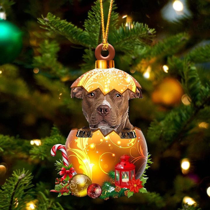 BROWN Pitbull In Golden Egg Christmas Ornament