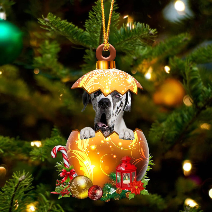 Great Dane2 In Golden Egg Christmas Ornament