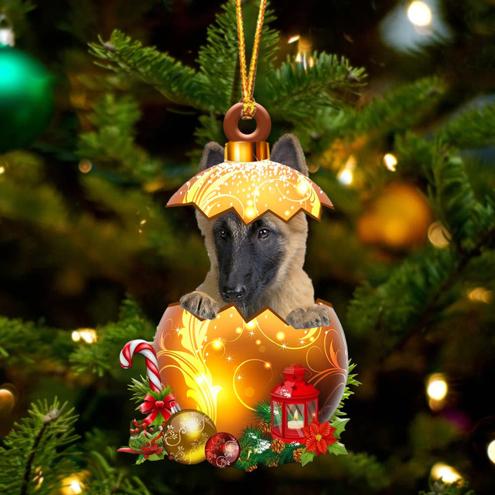 Belgian Tervuren In Golden Egg Christmas Ornament