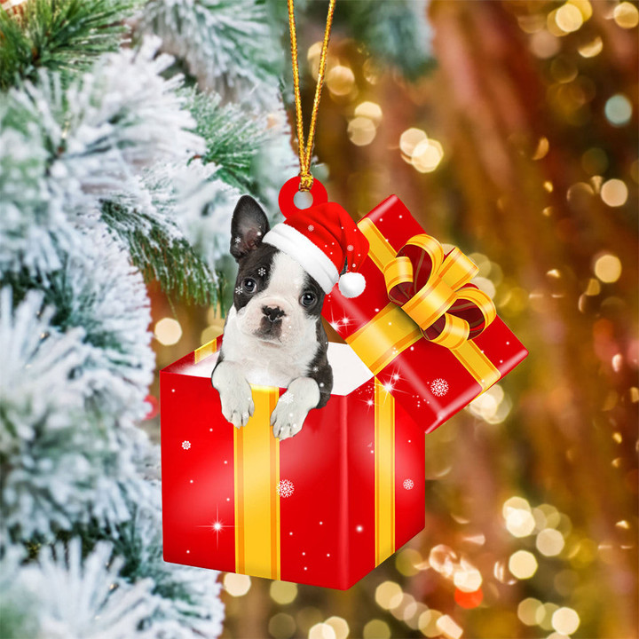 Boston Terrier02 In Red Gift Box Christmas Ornament