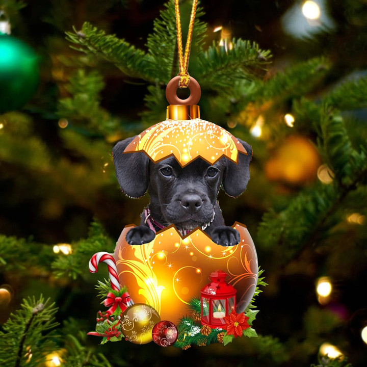 Puggle(Black) In Golden Egg Christmas Ornament