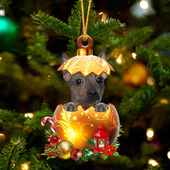 American Hairless Terrier In Golden Egg Christmas Ornament