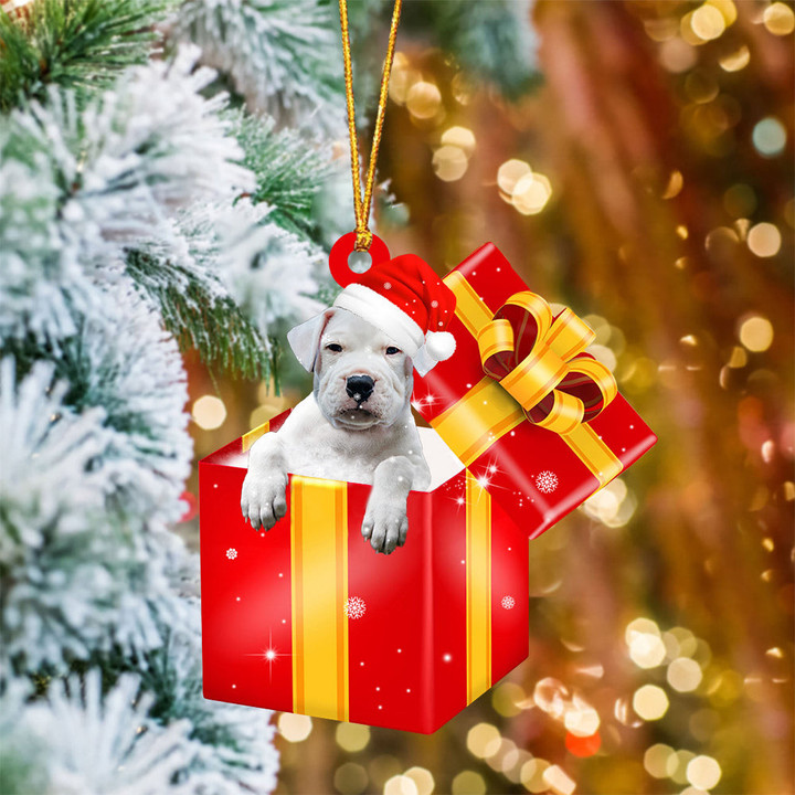 Dogo Argentino In Red Gift Box Christmas Ornament