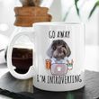 Go Away I'm Introverting Custom Dog Portrait Coffee Mug Gift For Fur Mom, Dog Lovers