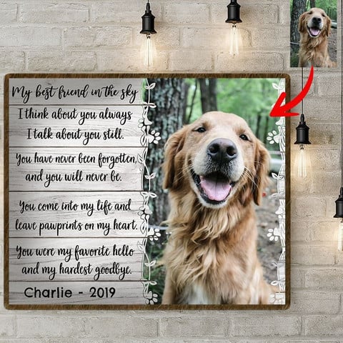 Personalized Pet Memorial Gifts, My Best Friend On The Sky Gift