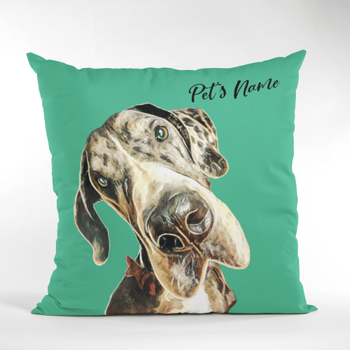 Personalized Pet Colorful Painting Customized Photo Pillow Case