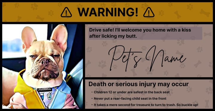 Personalized Warning Sticker for Car Visors