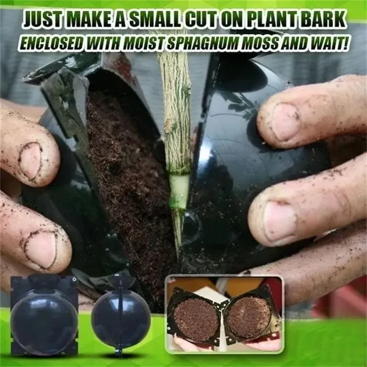 Plant Root Growth Box