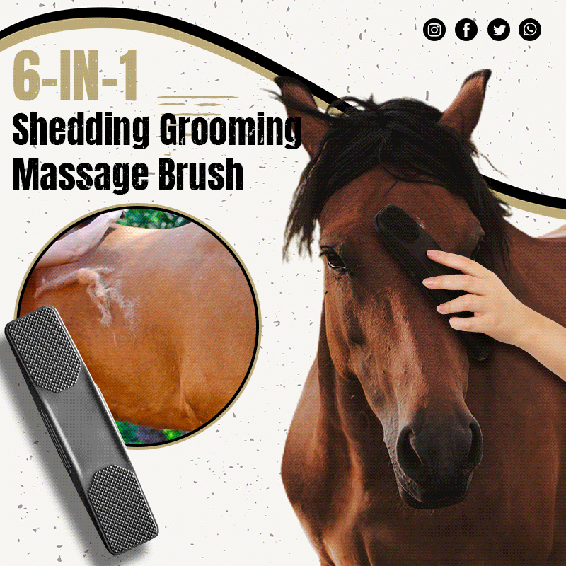 6-In-1 Shedding Grooming Massage Brush 🔥 50% OFF - LIMITED TIME ONLY 🔥
