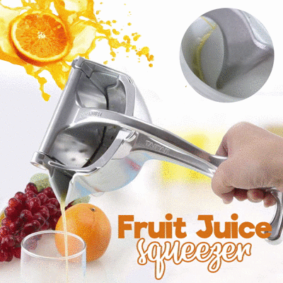 Stainless Steel Fresh Fruit Juice Extractor