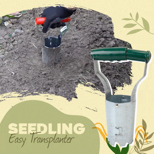 Seedling Easy Transplanter 🔥50% OFF - LIMITED TIME ONLY🔥