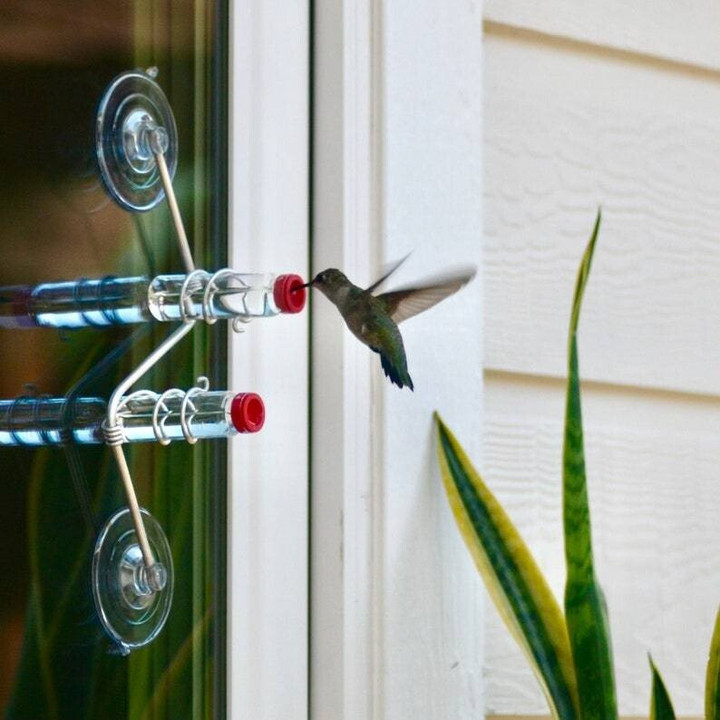 🎁Geometric Window Hummingbird Feeder