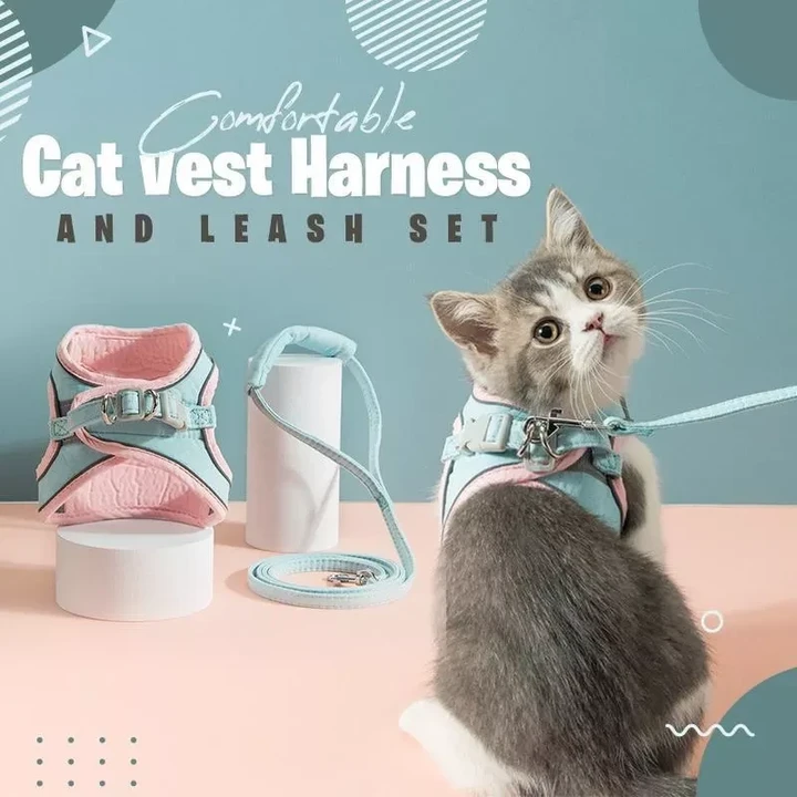 Luminous Cat Vest Harness And Leash Set