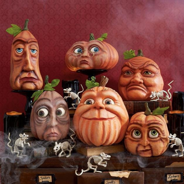 🎃Expressive Pumpkin Family