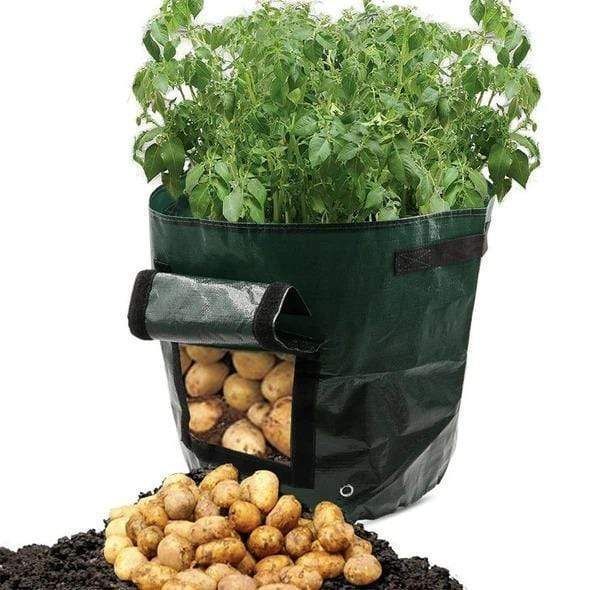 2021 Fruits Vegetables Planting bag
