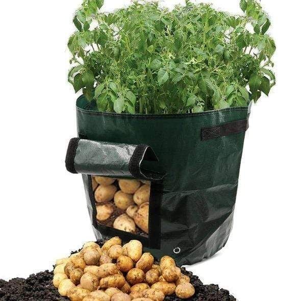 2021 Fruits Vegetables Planting Bag (Free Shipping)