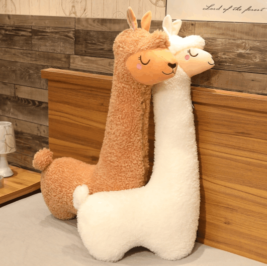 Shelby The Llama ( 50% Off Today! 🦙☁️)