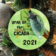 The Year Of The Cicada Ornament | 2021 Christmas Ornaments | The Year Of The Cicada Ornament 2021