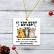 Cat Lover Ornament If You Hurt My Cat