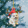 Pomeranian Christmas Lights Shape Ornament