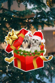 Shih Tzu in Christmas gift box Shape Ornament