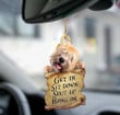 Wheaten Terrier Get in Sit down 2 sides Ornament