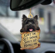 Cairn Terrier Get in Sit down 2 sides Ornament