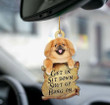 Pekingese get in two sided ornament