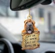 Shar pei get in two sided ornament