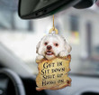 Lhasa Apso get in two sided ornament