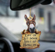 Donkey get in donkey lovers two sided ornament