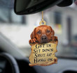 Rhodesian Ridgeback get in dog moms two sided ornament