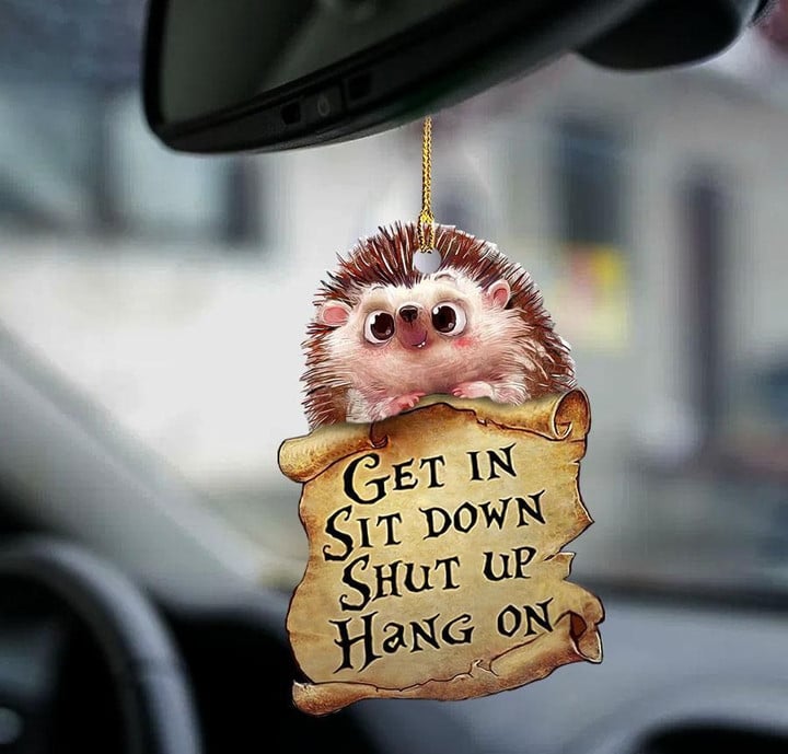 Hedgehog get in hedgehog lover two sided ornament