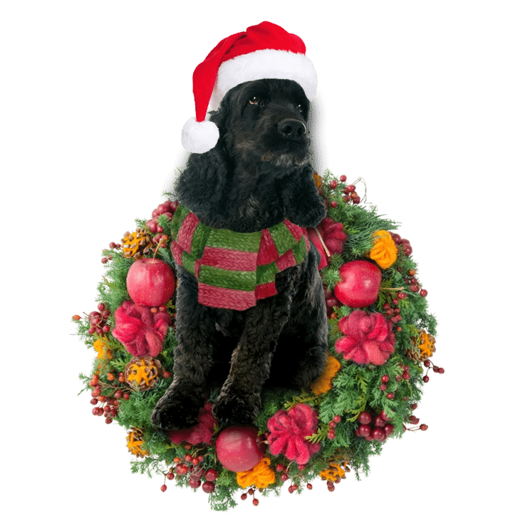 Black Cocker Spaniel Christmas Ornament
