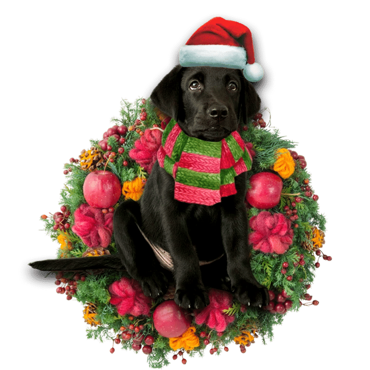 Black Labrador Retriever Christmas Ornament 2