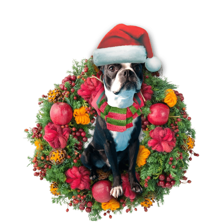 Boston Terrier Christmas Ornament 7