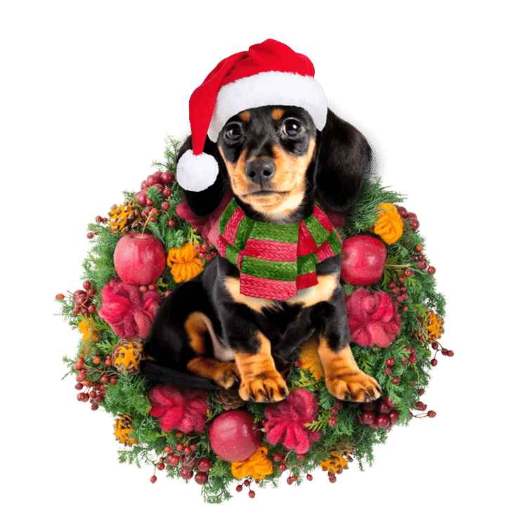Dachshund Christmas Ornament 8