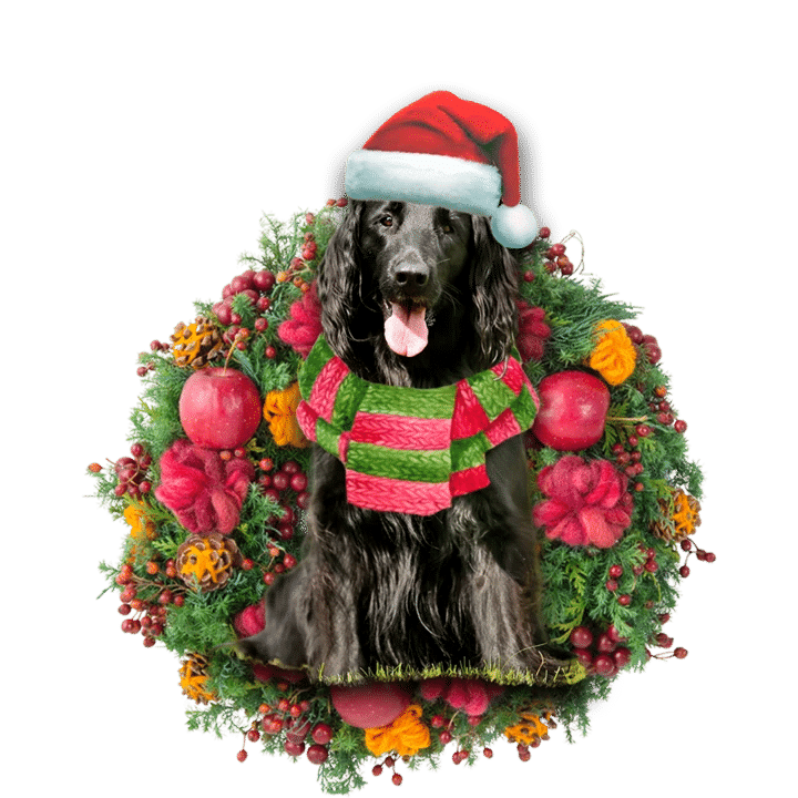 Flat Coated Retriever Christmas Ornament