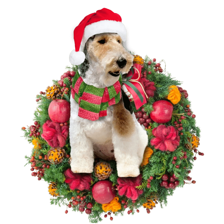 Fox Terrier Christmas Ornament 2