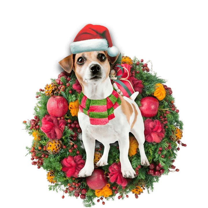 Jack Russel Terrier Christmas Ornament 6