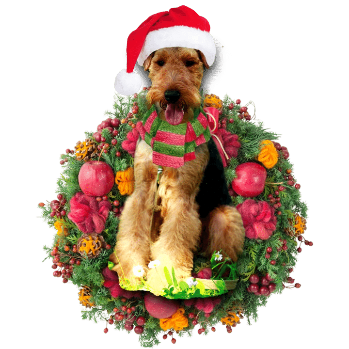Welsh Terrier Christmas Ornament