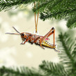 Love Insects Mica Ornament