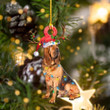 Bloodhound Light Christmas Shape Ornament