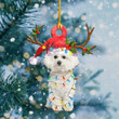 Bichon Frise Christmas Lights Shape Ornament PANORPG0008