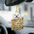 Maltese Lover Two Sided Ornament