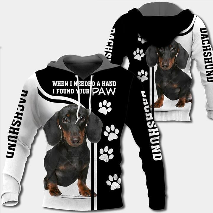 Dachshund 3D Hoodie When I Needed A Hand I Found Your Paw
