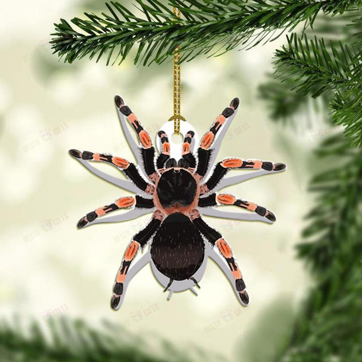 Spider Mica Ornament PANORPG0321