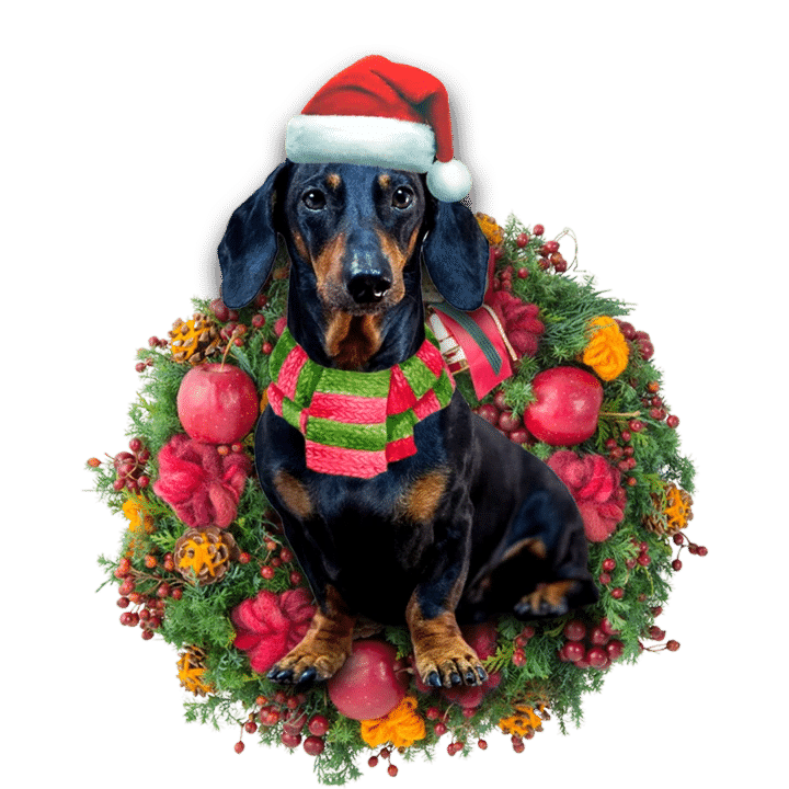 Dachshund Christmas Ornament 7