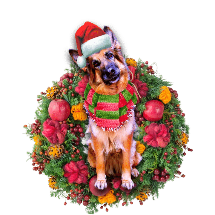 German Shepherd Christmas Ornament 7